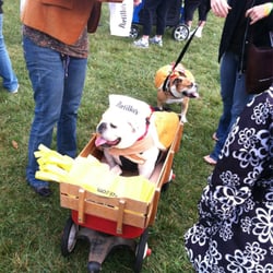 Fox Valley Kickers - Bully Bash costume contest