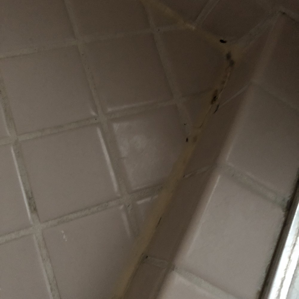 WorldMark Eagle Crest - Shower with dark spots on white grout - Hotels Near Me - Redmond, Oregon WorldMark Eagle Crest - Shower with dark spots on white grout - Hotels Near Me - Redmond, Oregon