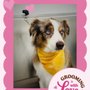 Woof Gang Bakery & Grooming New Braunfels