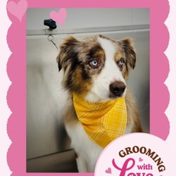 Woof Gang Bakery & Grooming New Braunfels