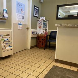 East Longmeadow Animal Hospital - Waiting room