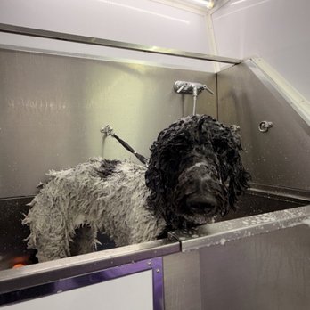 JYLAX - Pet Groomers Near Me - Encino, California JYLAX - Pet Groomers Near Me - Encino, California