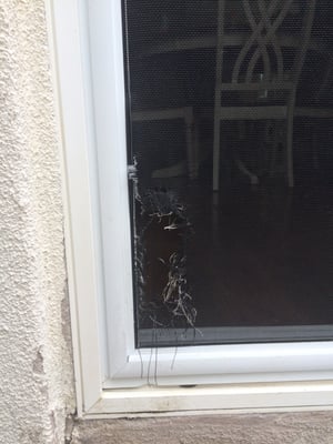 BRIGHT N SHINY WINDOW CLEANING & PRESSURE WASHING - Updated July 2024