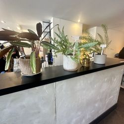 Elysian Coffee Broadway