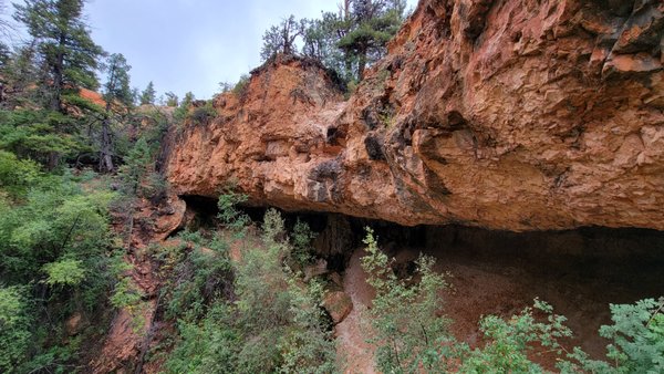 Mossy Cave Trailhead by null