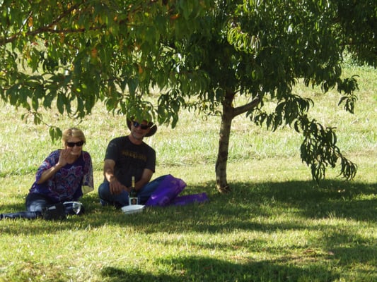 Royal Rabbit Vineyards by null