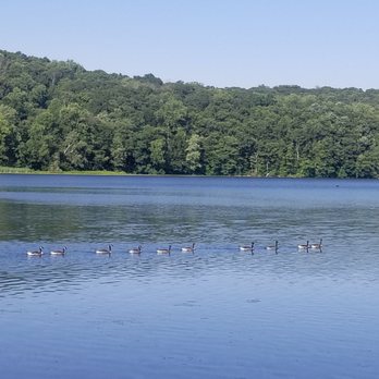 Shepherd Lake - Parks Near Me - Ringwood, New Jersey