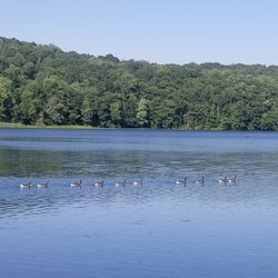 Shepherd Lake