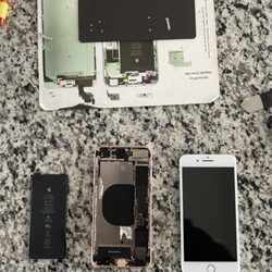 Everything Apple