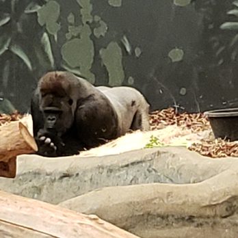Milwaukee County Zoo - Zoos Near Me - Milwaukee, Wisconsin