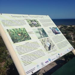 Tennyson beach