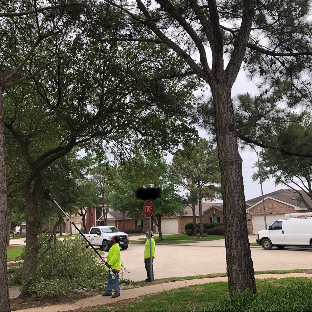 Shawnee Trees - Bye tree. 4.29.21 - Nurseries & Gardening Near Me - Katy, Texas