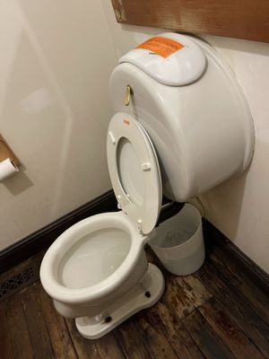 Purple Fiddle by null