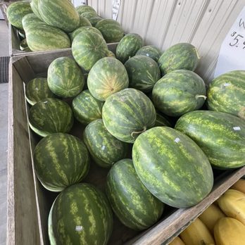 Route 10 Roadside Market - Local Flavor Near Me - Honey Brook, Pennsylvania Route 10 Roadside Market - Local Flavor Near Me - Honey Brook, Pennsylvania