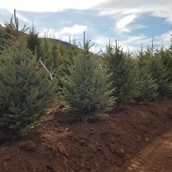 Holland Hills Nursery