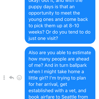 Brenda's Boston's - Trying to understand the process after the second attempt...no reply. - Pet Breeders Near Me Brenda's Boston's - Trying to understand the process after the second attempt...no reply. - Pet Breeders Near Me