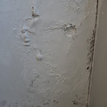 3003 Van Ness Apartments - black mold inside wall - Apartments Near Me - Washington, DC, District of Columbia 3003 Van Ness Apartments - black mold inside wall - Apartments Near Me - Washington, DC, District of Columbia