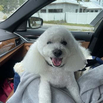 Naples Dog Center & salon - Pet Stores Near Me - Naples, Florida Naples Dog Center & salon - Pet Stores Near Me - Naples, Florida