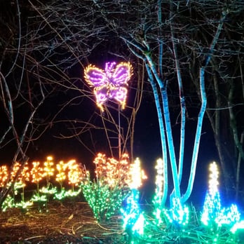 Garden D'Lights - Local Flavor Near Me - Bellevue, Washington Garden D'Lights - Local Flavor Near Me - Bellevue, Washington