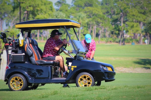Palmetto-Pine Country Club by null