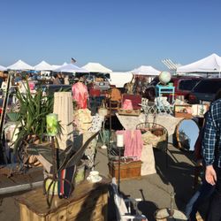 Petaluma Vintage