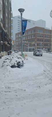 The Gulch by null