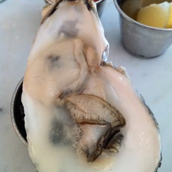 Neptune Oyster - island creek oyster is the best! - Seafood Near Me - Boston, Massachusetts Neptune Oyster - island creek oyster is the best! - Seafood Near Me - Boston, Massachusetts