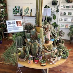 A Modern Plantsman - Cactus display