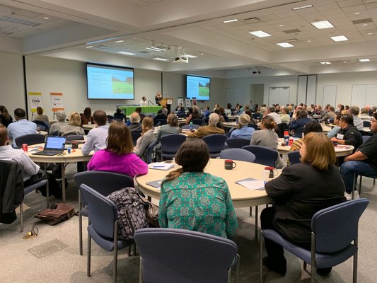 Bayou Preservation Association