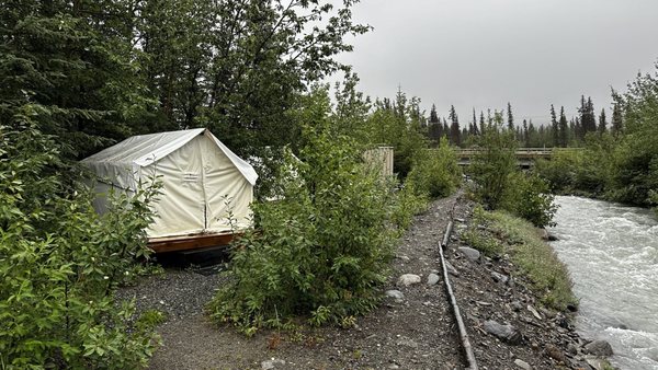 Denali Hostel & Cabins by null
