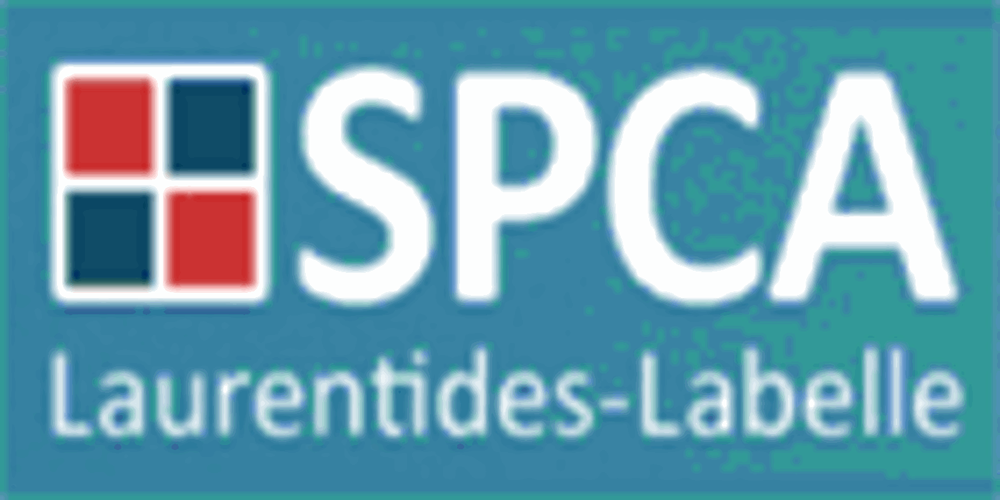 SPCA LAURENTIDESLABELLE 355 Rue Demontigny, SainteAgathedesMonts