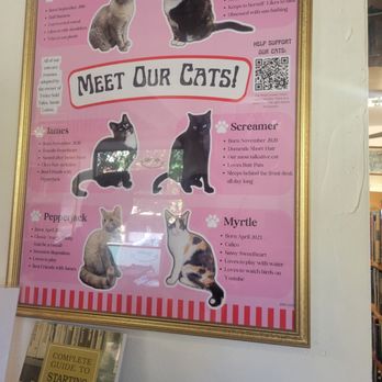 Twice Sold Tales - Meet the cats! - Used Bookstore Near Me - Seattle, Washington Twice Sold Tales - Meet the cats! - Used Bookstore Near Me - Seattle, Washington