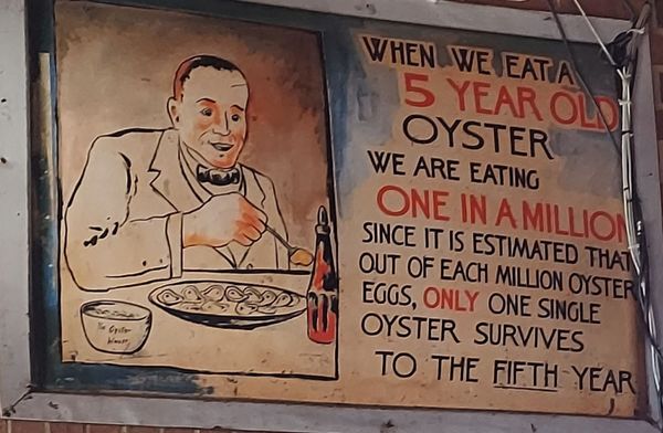 Wintzells Oyster House by null