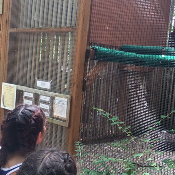 Cascades Raptor Center - Unkept bird cages. - Zoos Near Me - Eugene, Oregon