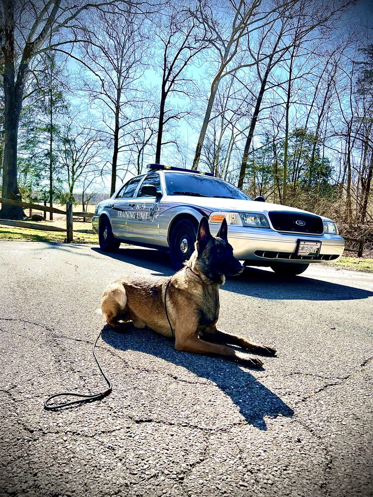 RHINO KENNELS Updated September 2024 17 Photos 1934 Dayton