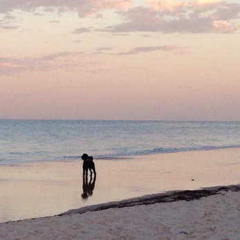 Henley Beach - Ah, the calm before the madness of the day... - Beaches Near Me - Henley Beach, SA