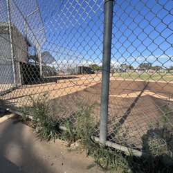 Hickman Field - Overgrown weeds