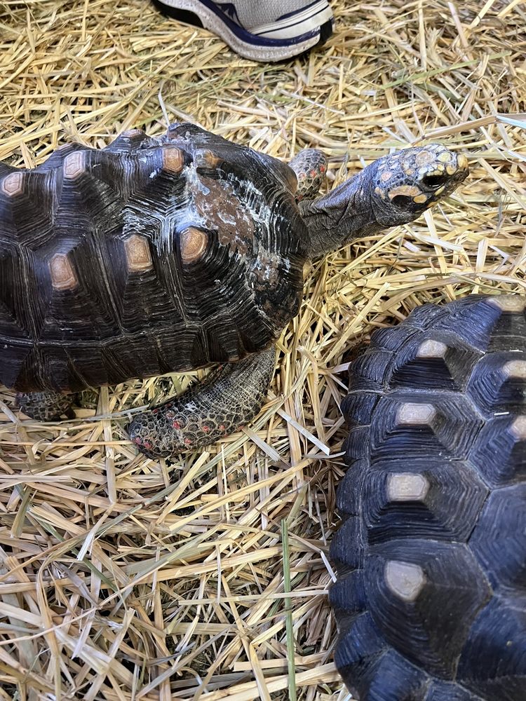 AQUARIUM & SHARK LAB BY TEAM ECCO 42 Photos & 18 Reviews 511 N Main