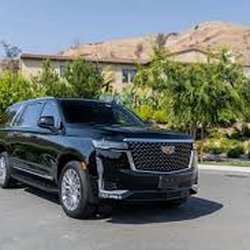 Blackfin Limo