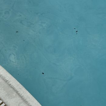 Parrot Island Waterpark - Mass crickets and bug parts. - Water Parks Near Me - Fort Smith, Arkansas Parrot Island Waterpark - Mass crickets and bug parts. - Water Parks Near Me - Fort Smith, Arkansas