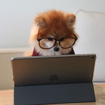 I Fix Laptop - Laptop virus cleaning - Data Recovery Near Me - Las Vegas, Nevada I Fix Laptop - Laptop virus cleaning - Data Recovery Near Me - Las Vegas, Nevada