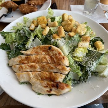 Bahama Breeze - Chicken Caesar - Bars Near Me - Orlando, Florida Bahama Breeze - Chicken Caesar - Bars Near Me - Orlando, Florida