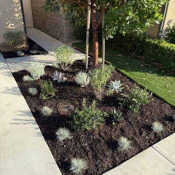 Sea’s Edge Landscaping - Front driveway where all old plants were taken out and new plants and irrigation was installed. - Landscaping Near Me