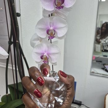 Lily's Nails and Spa - Nail Salons Near Me - Park Ridge, Illinois