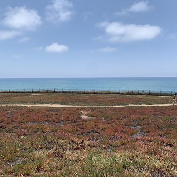 Terra Mar Point - Beaches Near Me - Carlsbad, California