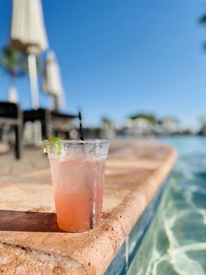 Fairmont Scottsdale Princess by null