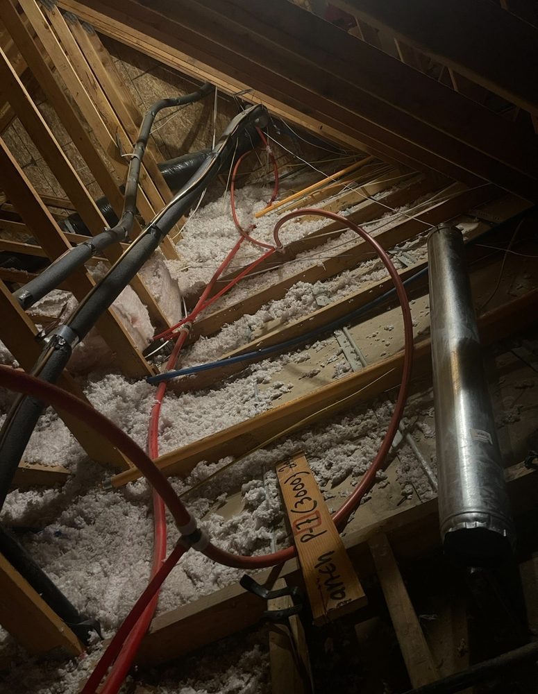 Slide of Lizard Strength