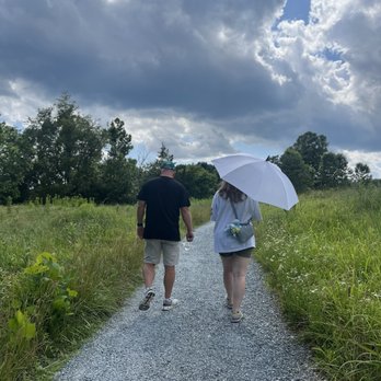 Glenstone - Umbrellas - Art Museums Near Me - Potomac, Maryland