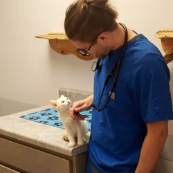 Conneaut Creek Veterinary Clinic - Dr. Sean Artello getting acquainted with one of our newest patients, Sassy.