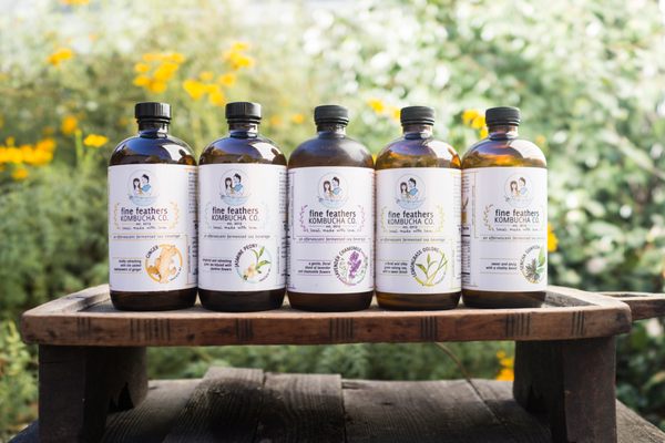 Fine Feathers Kombucha Company by null